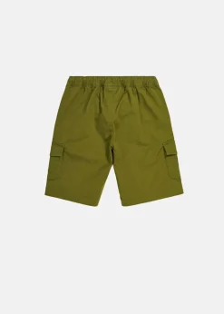 Barn Champion Cargo Bermuda