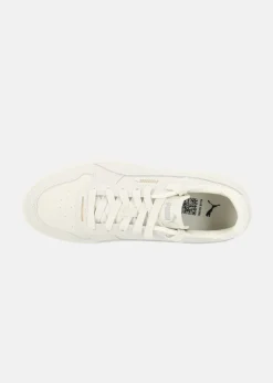 Puma Carina Street SD