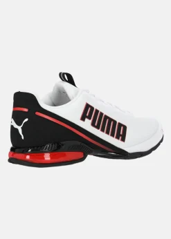 Puma Cell Divide