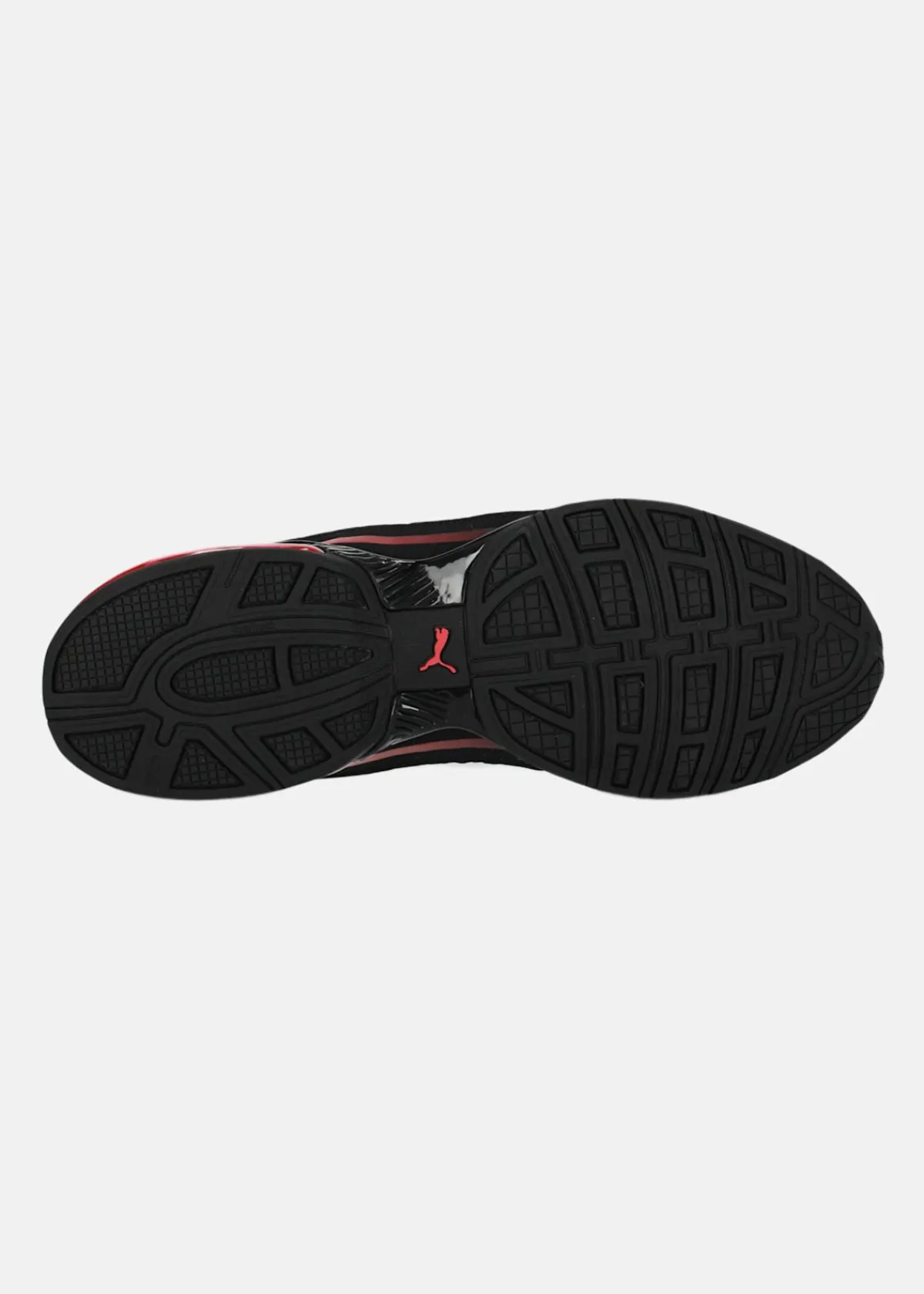 Puma Cell Divide