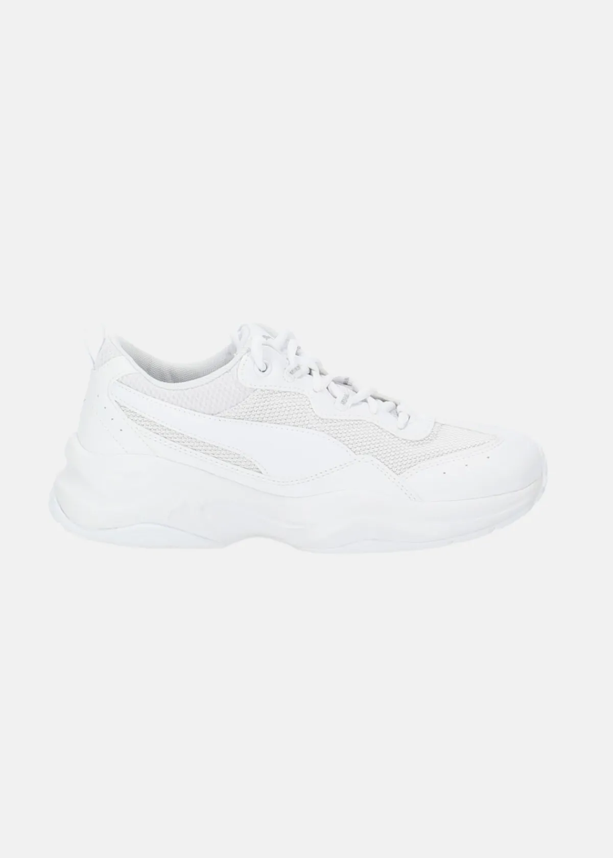 Puma Cilia