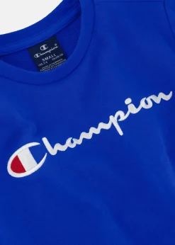 Barn Champion Crewneck Sweatshirt