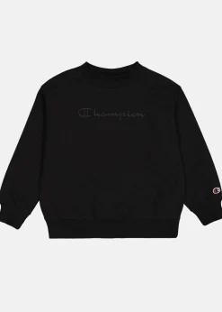 Barn Champion Crewneck Sweatshirt