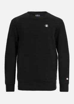 Barn Champion Crewneck Sweatshirt