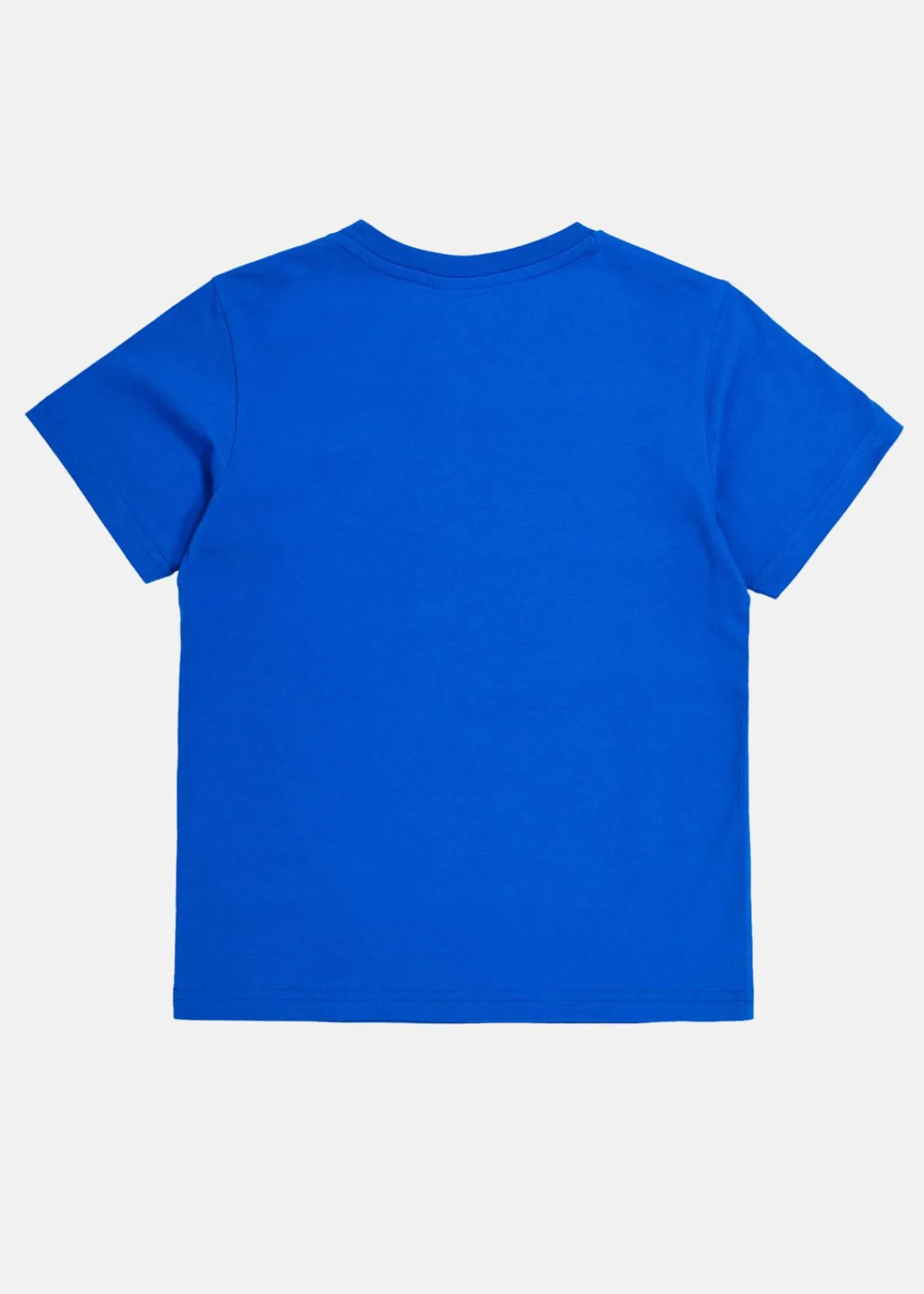 Barn Champion Crewneck T-Shirt
