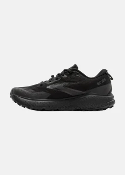 Brooks Divide 6 GTX