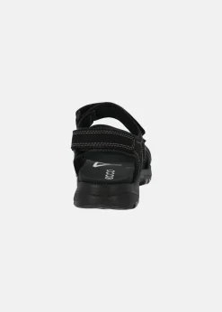 Ecco ONROADS W 3S