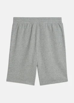 Puma ESS No. 1 Logo Shorts 10