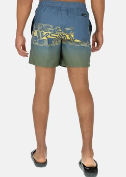 Quiksilver EVERYDAY WORDBLOCK VOLLEY 17 B