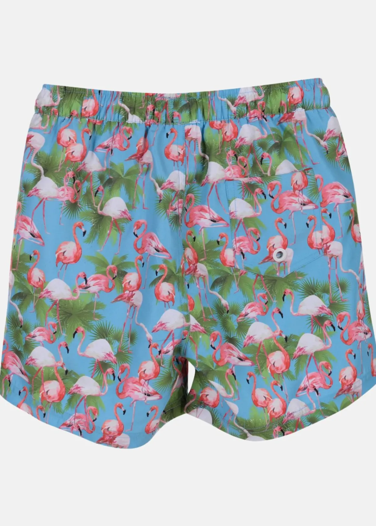 Barn Blount & Pool Flamingo Beachshorts JR
