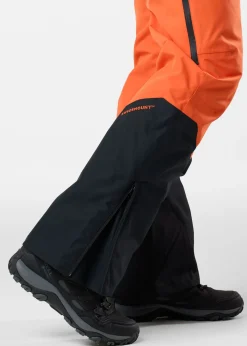 Swedemount Freeride Bib Pants