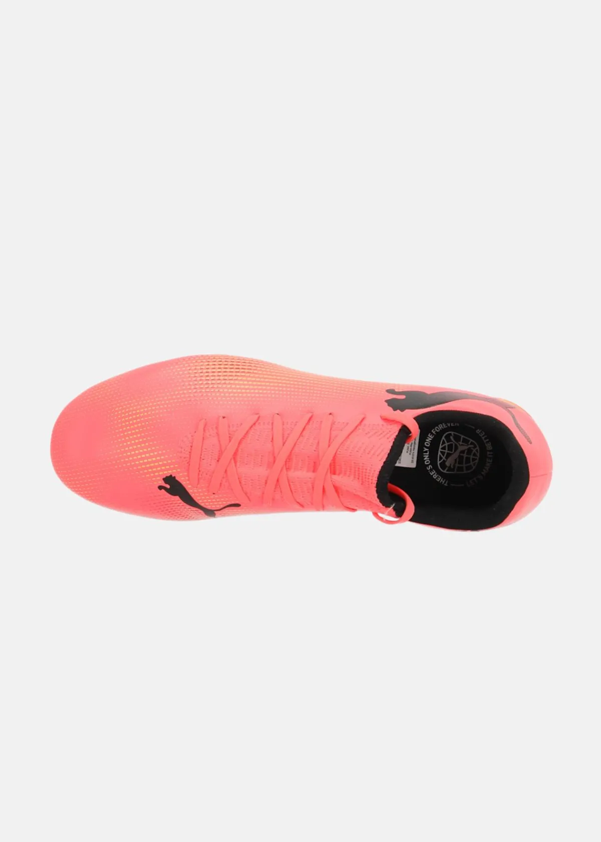 Puma FUTURE 7 PLAY FG/AG