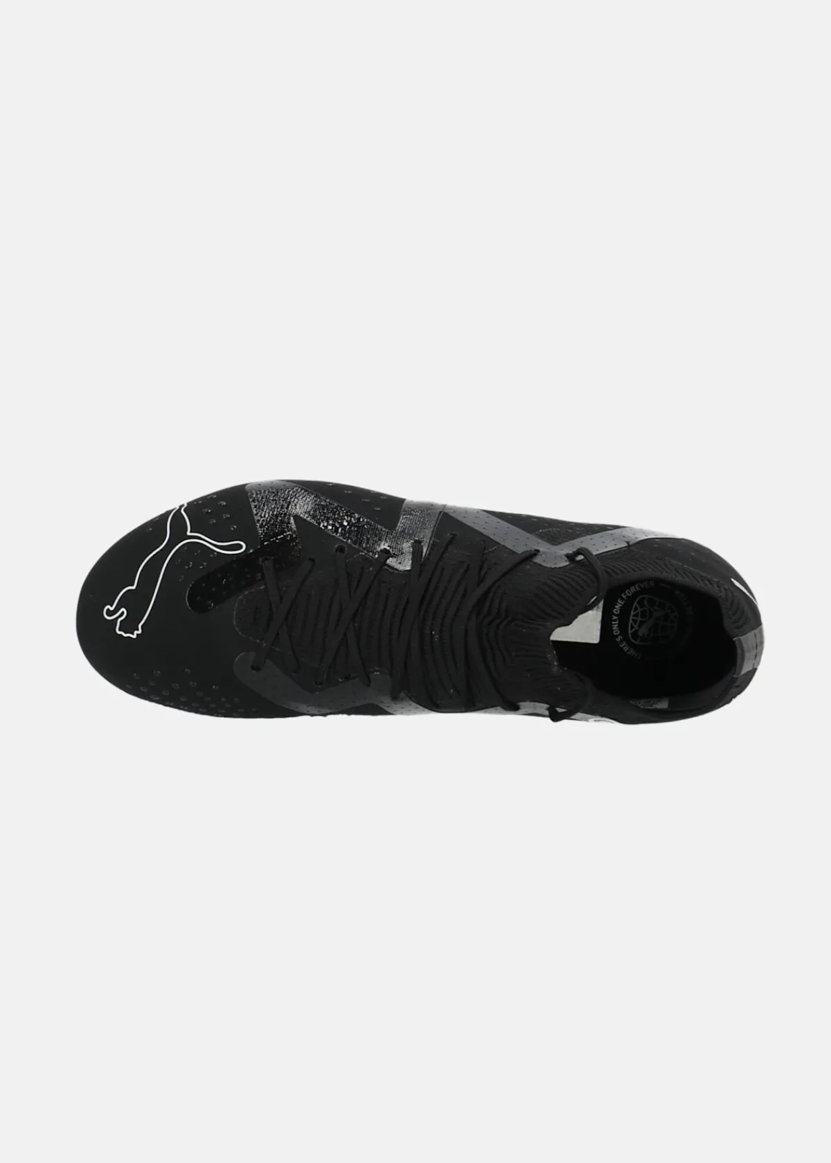 Puma FUTURE MATCH FG/AG