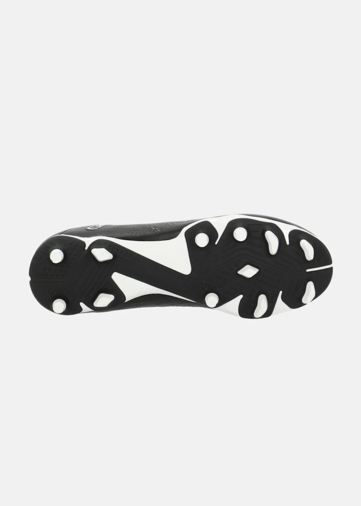 Puma FUTURE PLAY FG/AG