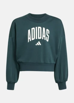 Barn Adidas JG CLGT FT SWT