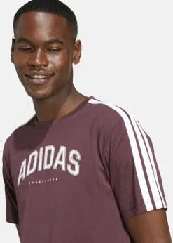 Adidas M C COLLEG TEE