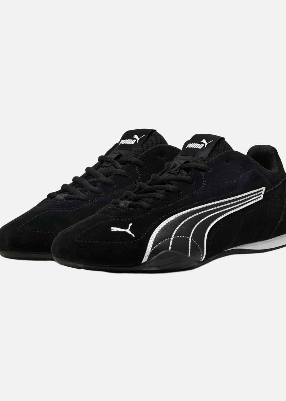 Puma CATCH SD