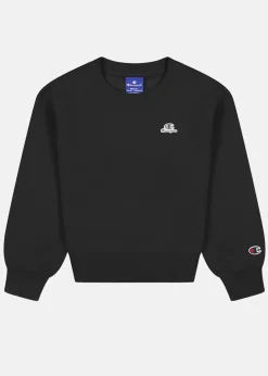 Barn Champion Rochester Crewneck Sweatshirt Jr