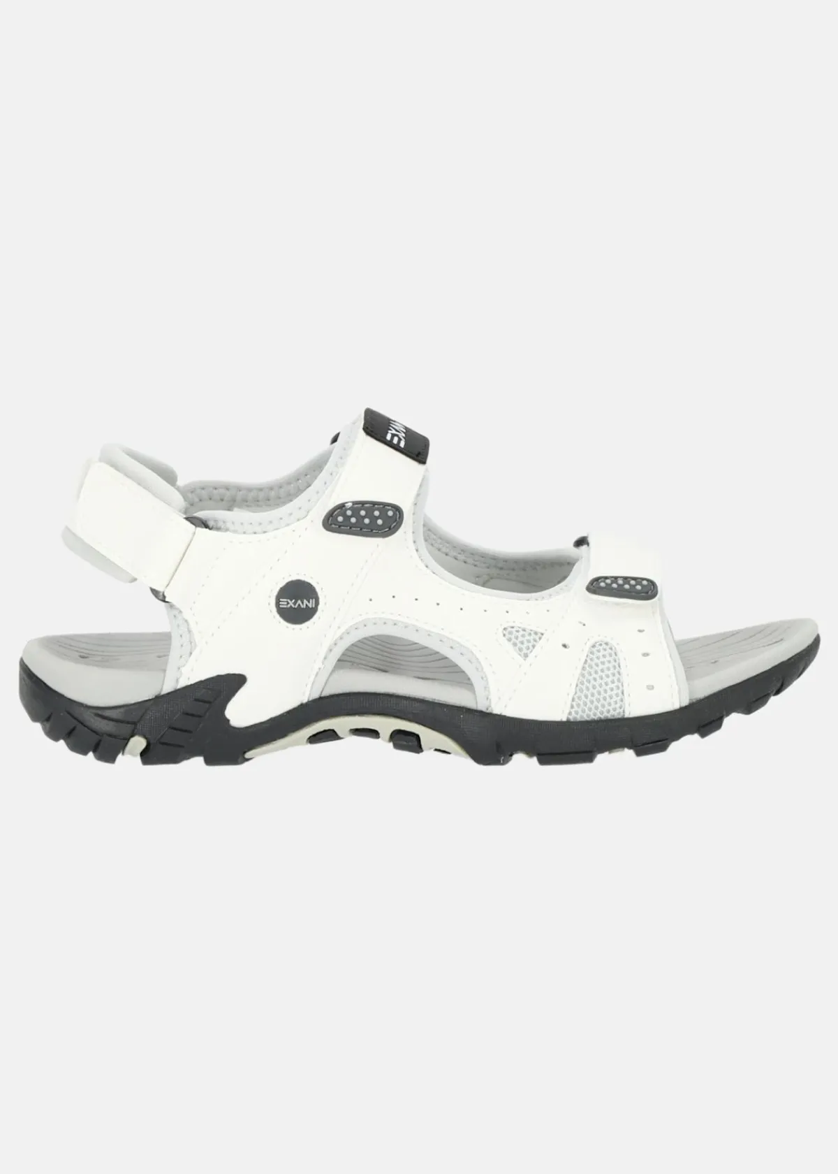 Exani SPIDER PRO W