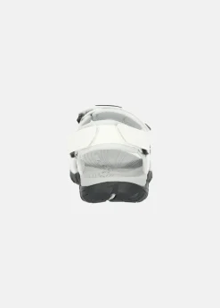 Exani SPIDER PRO W