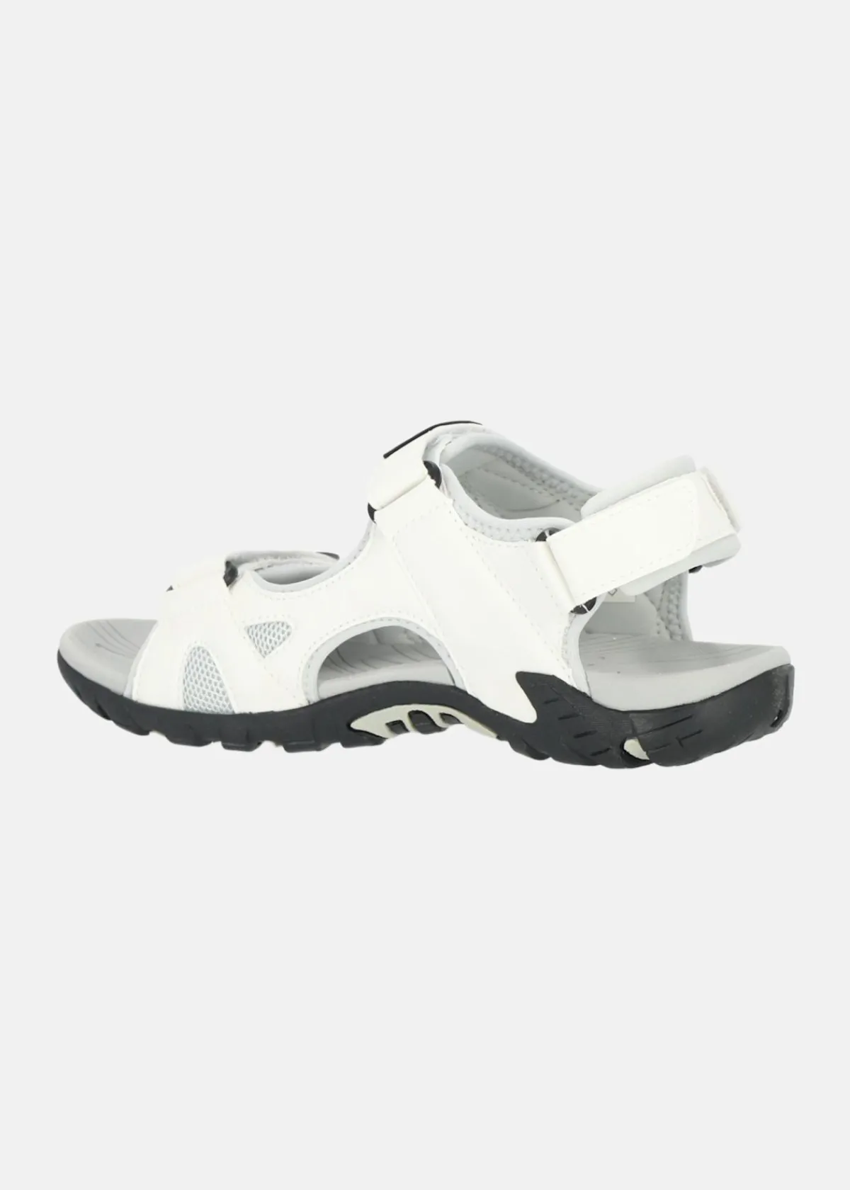 Exani SPIDER PRO W