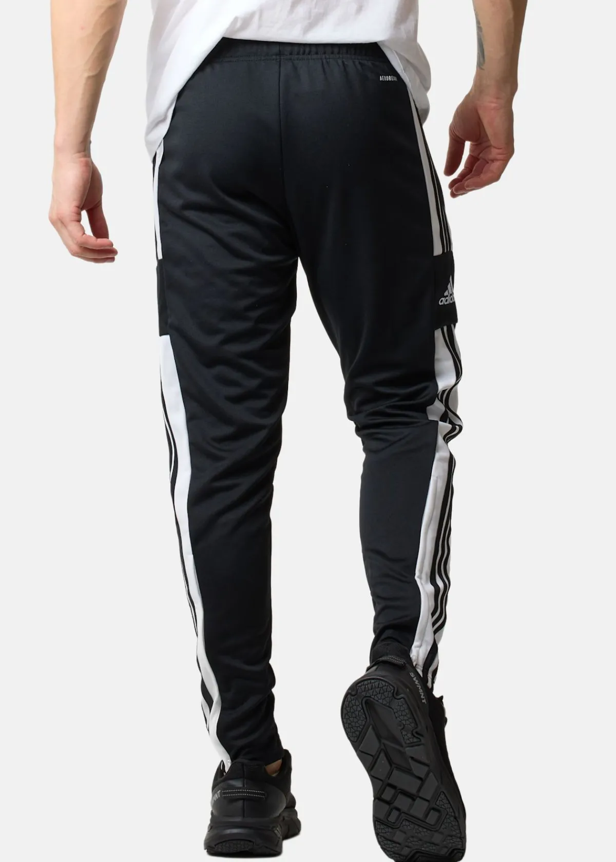 Adidas SQ21 TR PNT