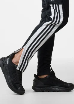 Adidas SQ21 TR PNT