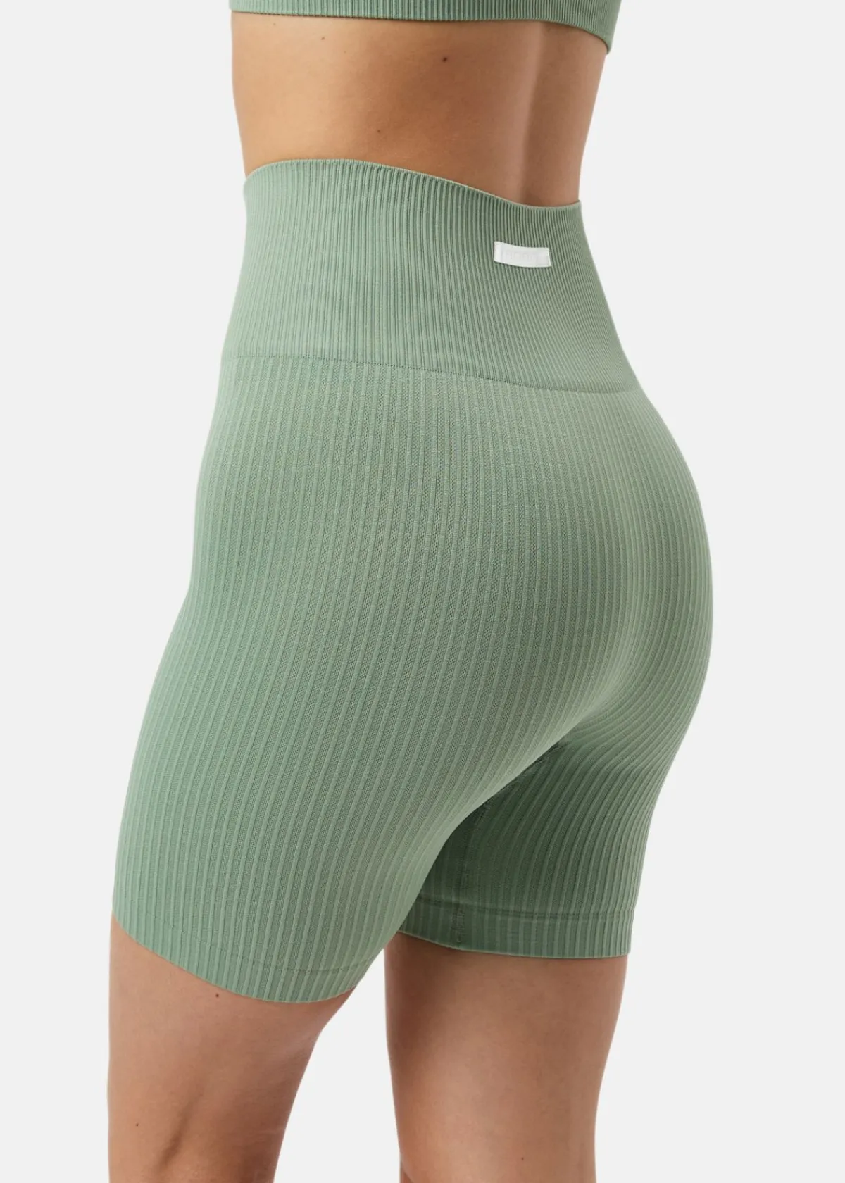 Björn Borg STUDIO SEAMLESS RIBBED SHORTS