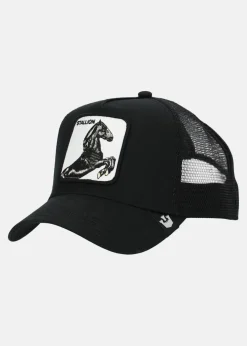 Goorin Bros The stallion