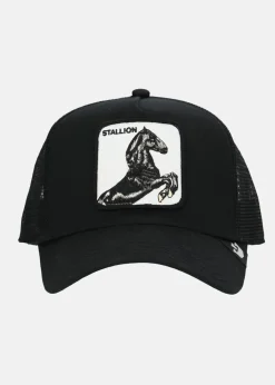 Goorin Bros The stallion