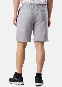 Swedemount Training Logo Shorts II