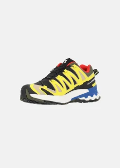 Salomon XA PRO 3D V9 GORE-TEX