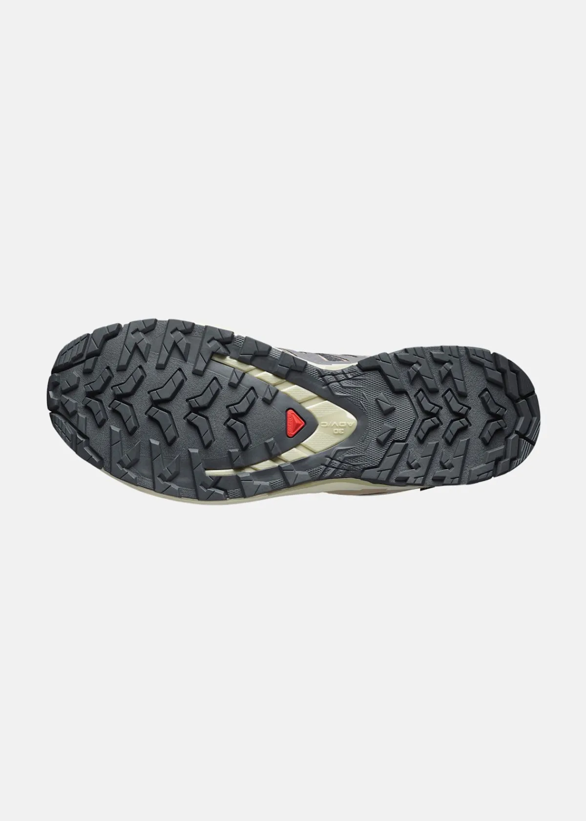 Salomon XA PRO 3D V9 GTX W
