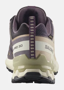 Salomon XA PRO 3D V9 GTX W